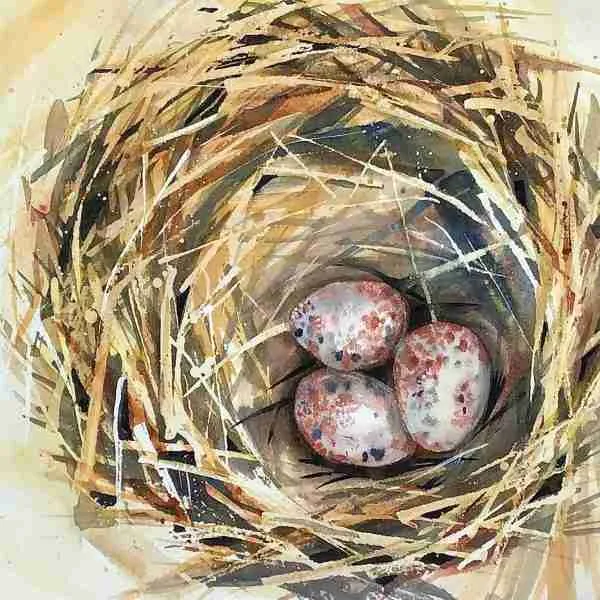 The nesting instinct - Nest I by Liz Chaderton