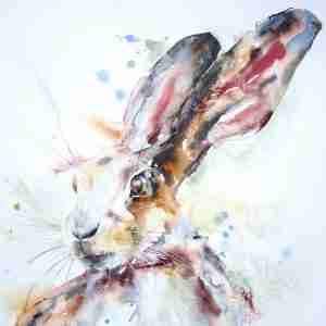 Magical hares in watercolour | without painting every hair!