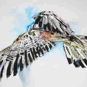 Dip Pens in Line & Wash | Discover expressive marks and lively ink