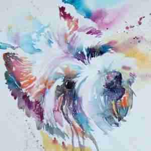 Rainbow Pet Portraits | Turn your favourite animals into colourful works of art