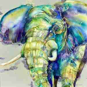 The elephant who wanted to be a peacock