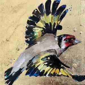 Golden goldfinch