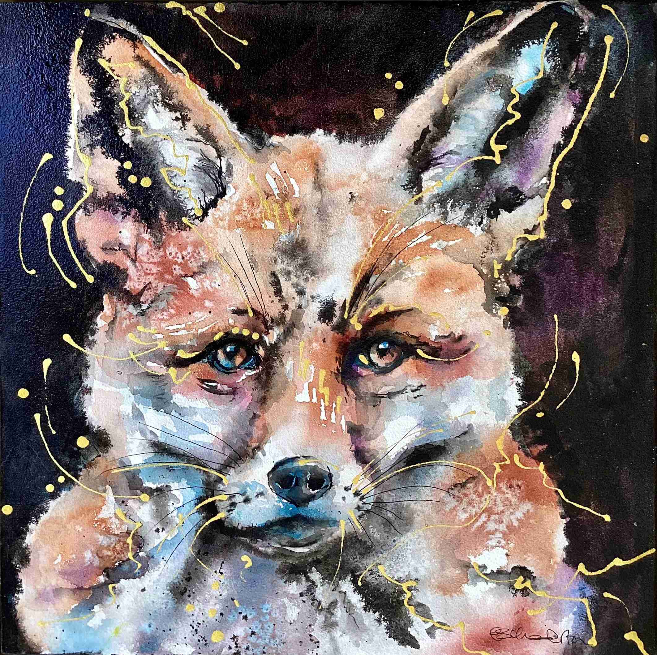 Fox - The Stare