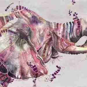 Side profile of elephant with its trunk raised